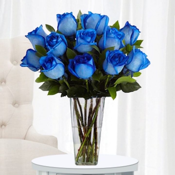 11 Синих Роз