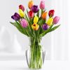 15 Разноцветных Тюльпанов