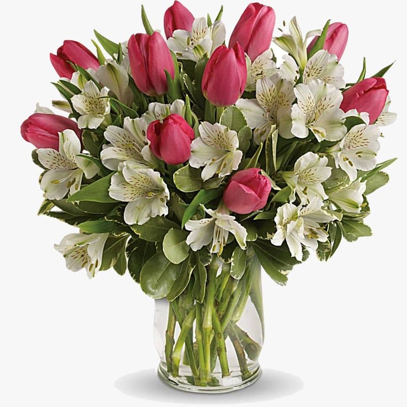 Букеты из тюльпанов и других цветов. Фрезия и тюльпаны букет. Альстромерия и тюльпаны букет. Ваксфлауэр с тюльпанами.